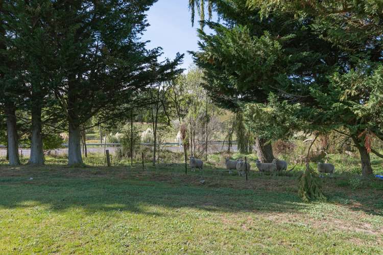 668 State Highway 2 Otane_27