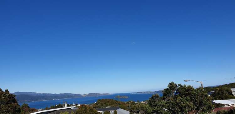 231 Dowse Drive Maungaraki_10