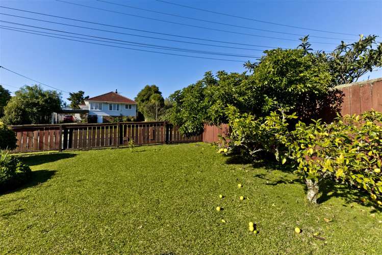 61 Wilsher Crescent Henderson_13