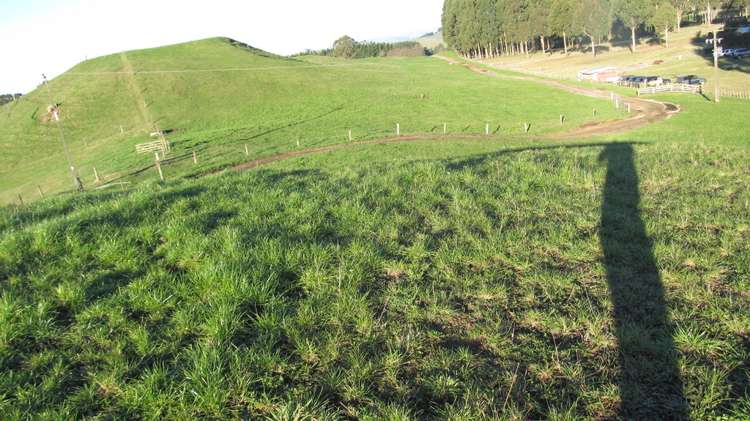 181 Link Road Wairakei and Surrounds_2