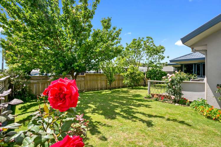 127a Williams Street Cambridge_13