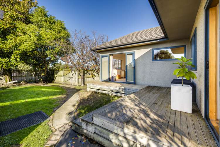181 Guppy Road Taradale_15