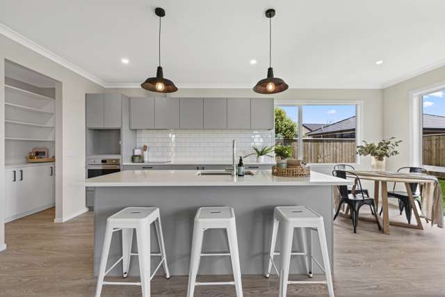 9 Oak Place Levin_1