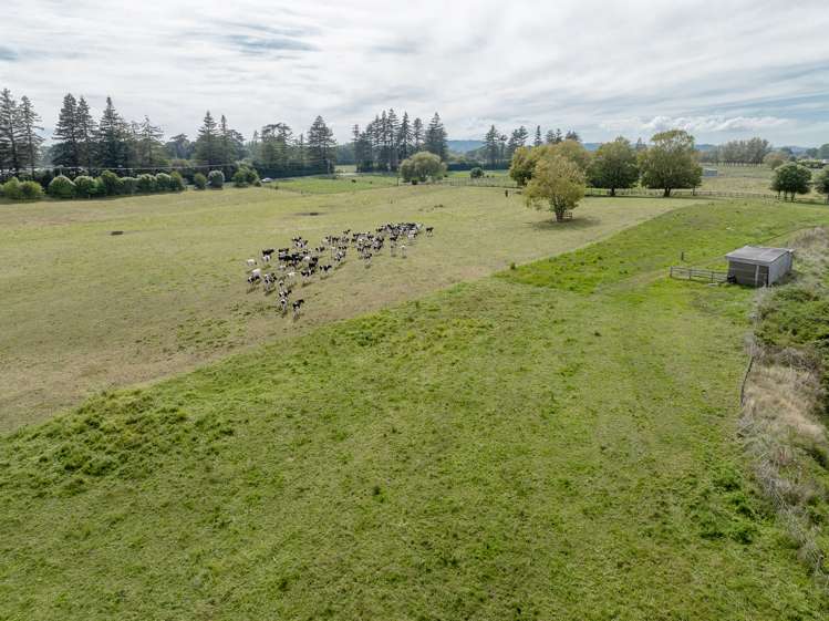 59 Parallel Road Cambridge_6