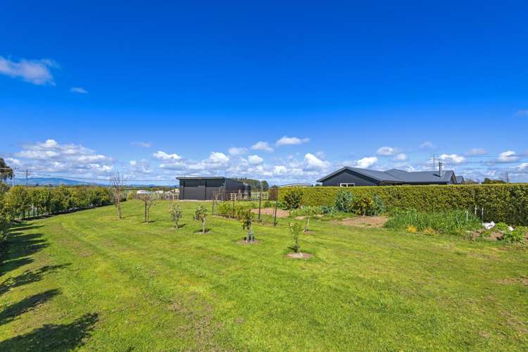 487 Makino Road Feilding_15