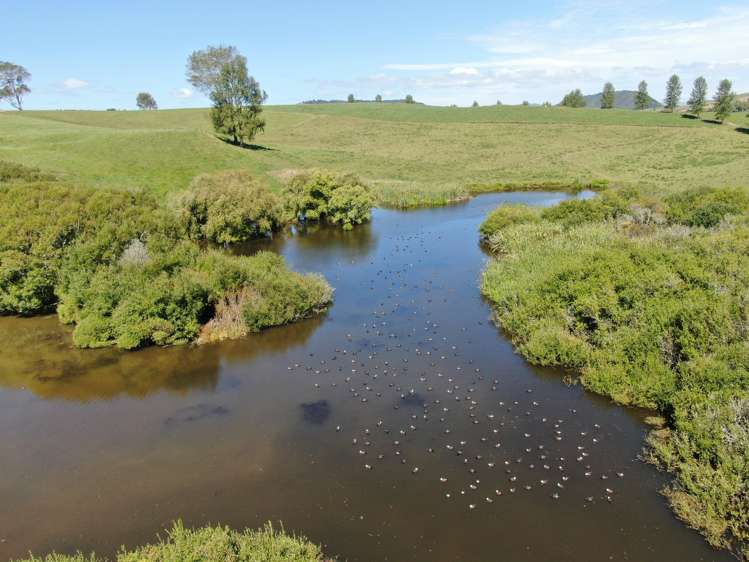 Paekaka Road Piopio_15