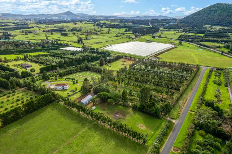 28 Nisbet Road Maungatapere_7