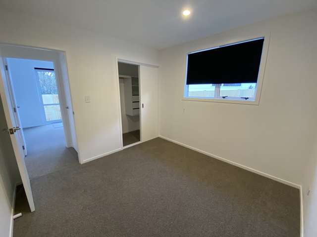 60A Egmont Street Ohauiti_2