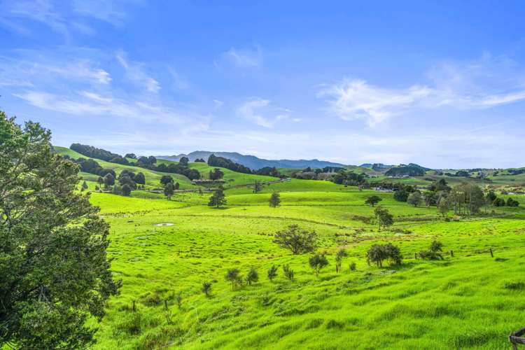 25 Mapuna Road Dargaville Surrounds_24