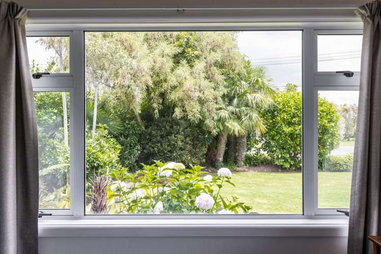 37 Maltby Street Meeanee_8