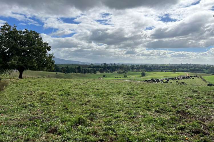 40 Budden Road Te Awamutu_5