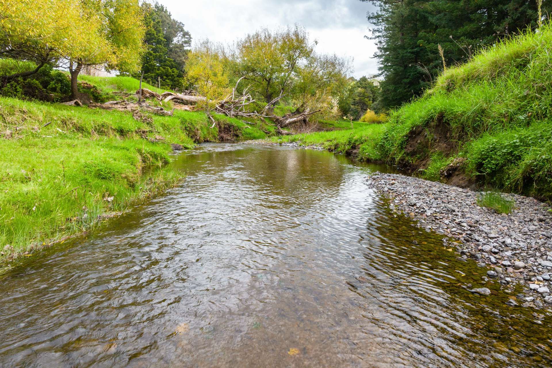 Omana Road Tangiteroria_0