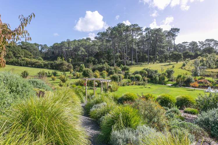 1840 Tiki Road Coromandel_9