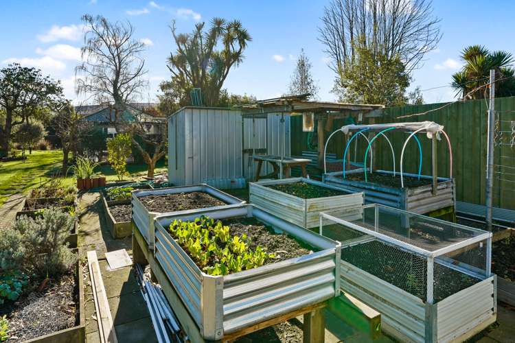 35 Dudley Street Richmond_5