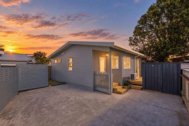 Stunning Brand New, Single-Level Home