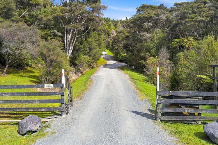 State High Way 1Dome Forest Warkworth_7