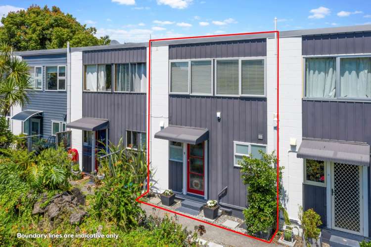 9/10 George Street Mount Eden_15