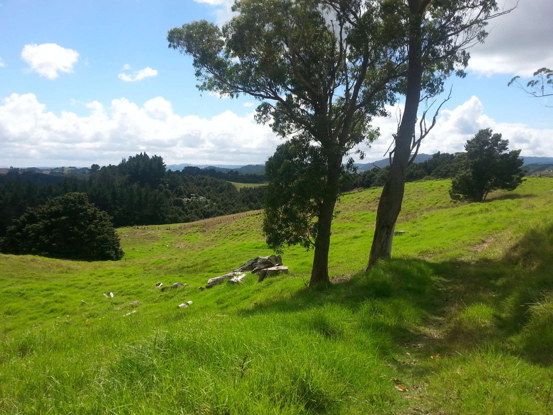 2568a Paparoa-Oakleigh Road Paparoa_0