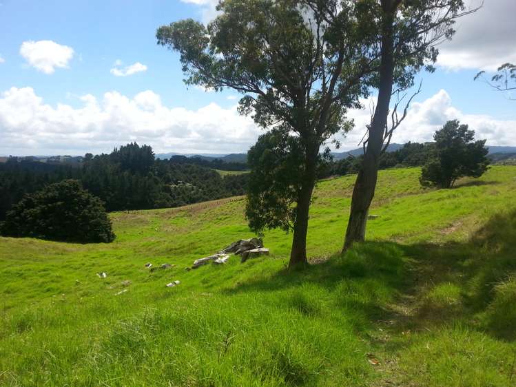 Paparoa-Oakleigh Road_0