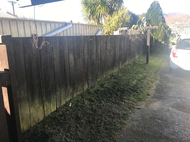 48 Elizabeth Street Tauhara_11