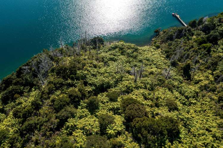 Lot 2 North West Bay Pelorus Sound_14