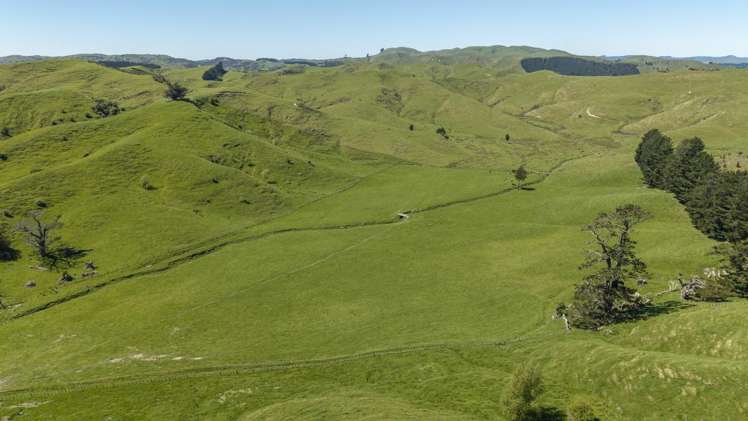344 North Road Masterton_13