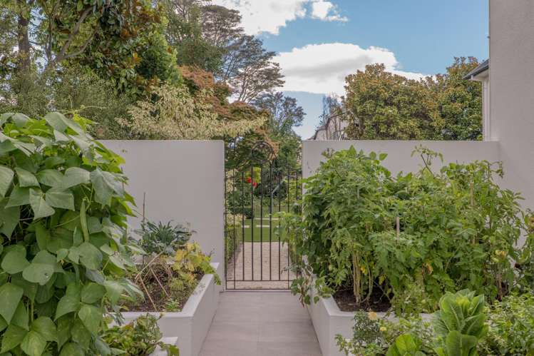 93 Carlton Mill Road Merivale_42