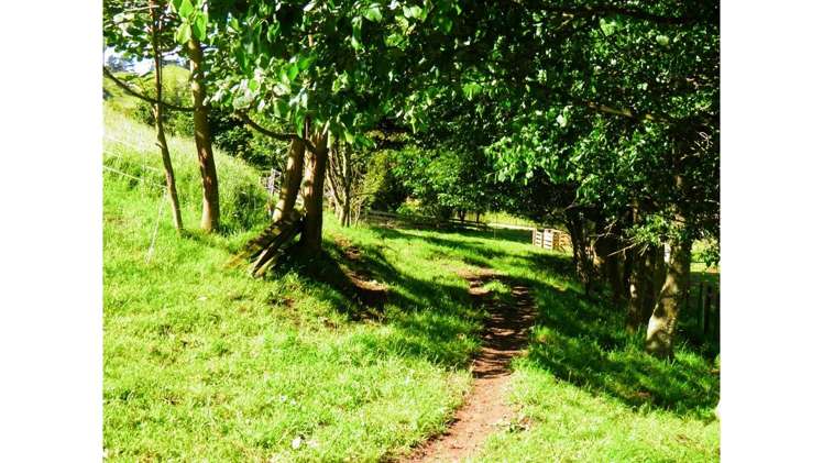 1505 Waikite Valley Road Ngakuru_12