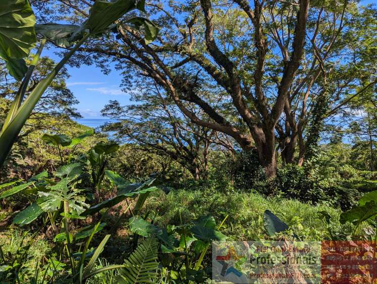 Address withheld Taveuni_8