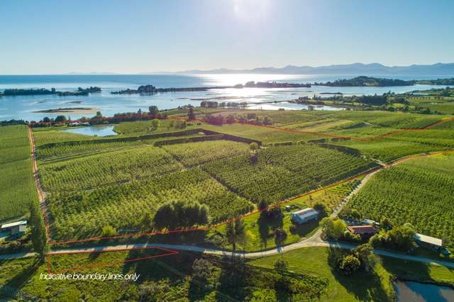 2201 The Coastal Highway Tasman_2