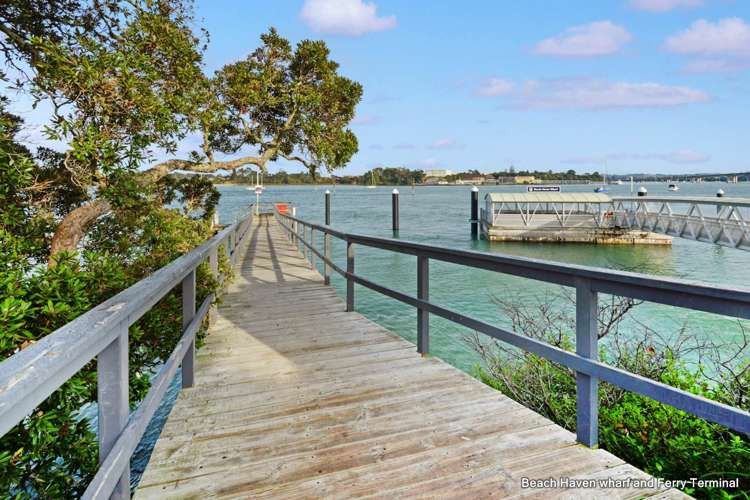 1/241 Rangatira Road Beach Haven_11