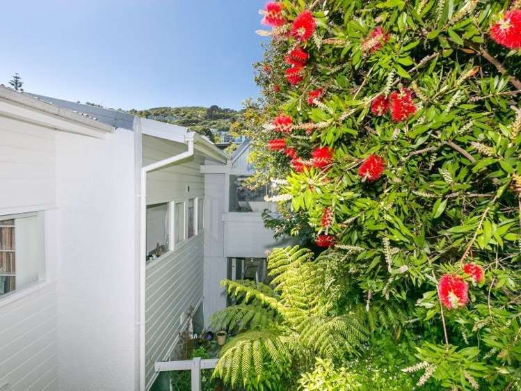 103a Warwick Street Wilton_9