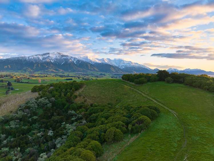 Ocean Ridge Kaikoura_20