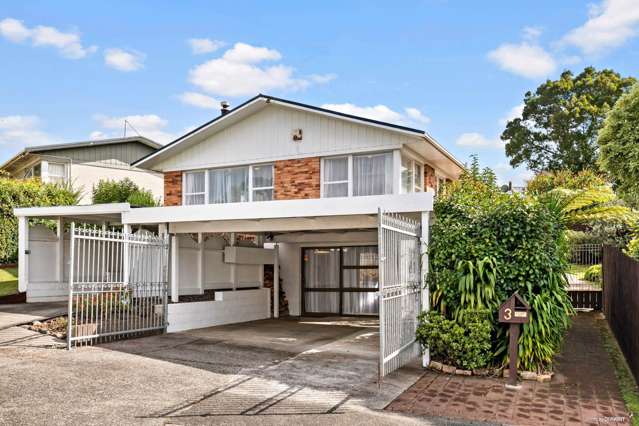 3 Boys Place Pakuranga Heights_1