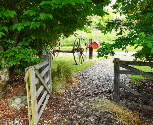 51 Mountain View Road Alexandra_1