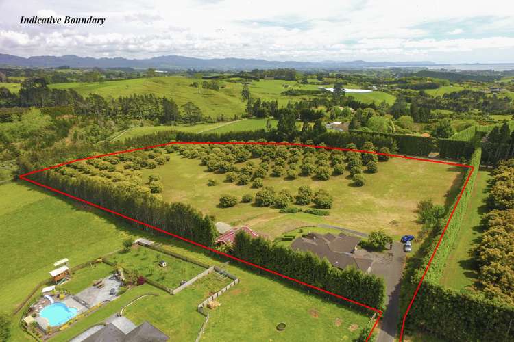 416 Youngson Road Whakamarama_5