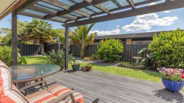 9a Alexander Street Tauranga South_3