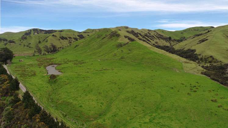 297 Kaitawa Road Pahiatua_11