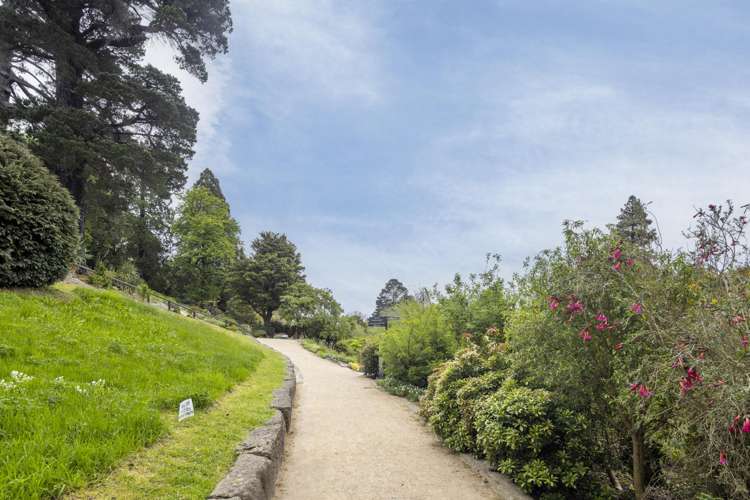 3/39b Opoho Road North East Valley_13