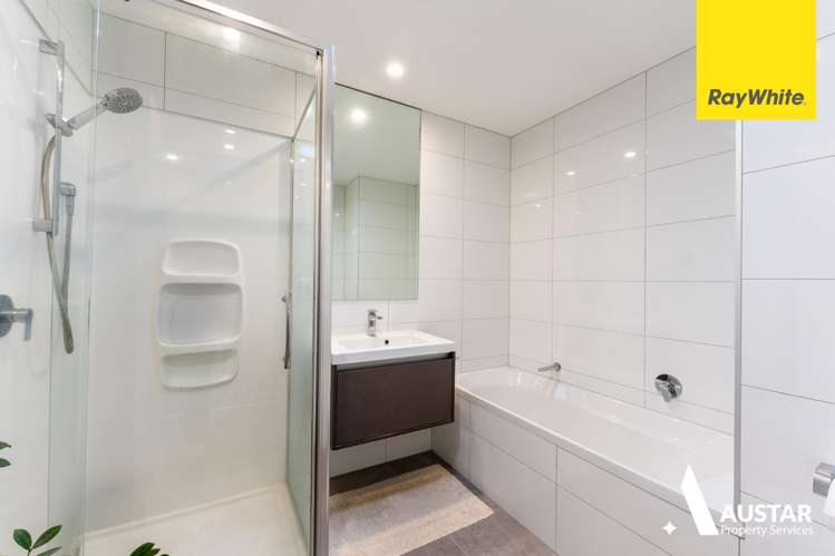 10 Magnetite Lane Flat Bush_9