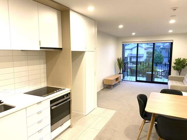 110/3 Bluegrey Ave Stonefields_4