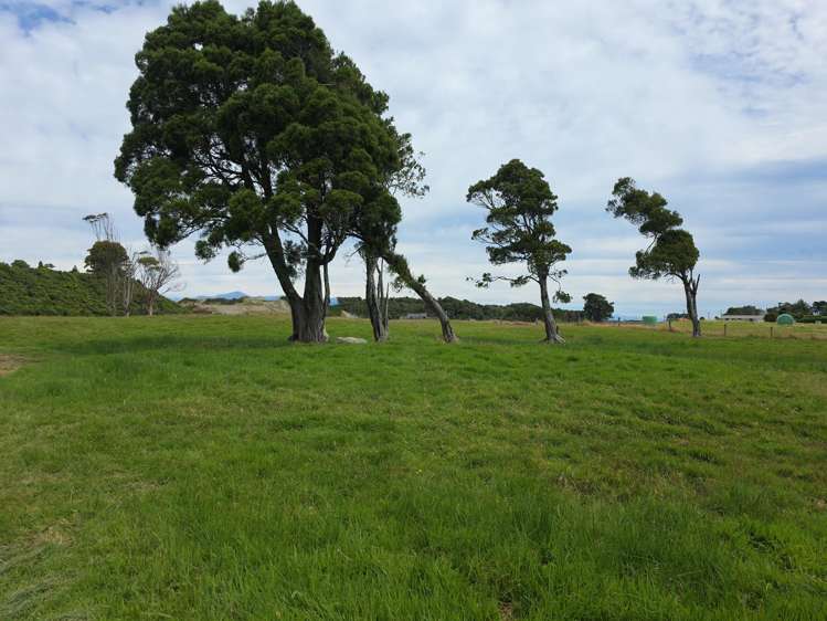 125 Golf Links Road Ruatapu_26