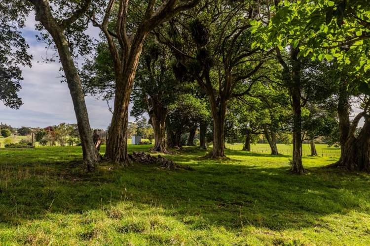 377 Waikaramu Road Waimate North_22