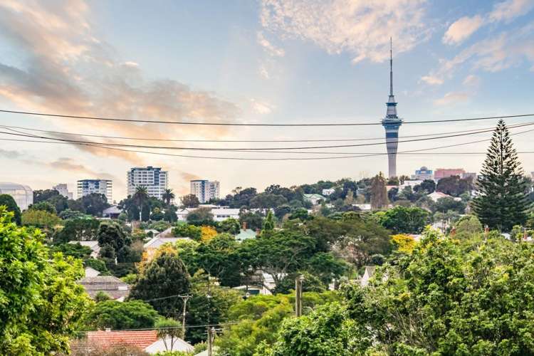 12 Goring Road Sandringham_19