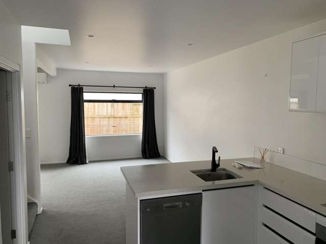 4/36 Blackburn Street Frankton_3