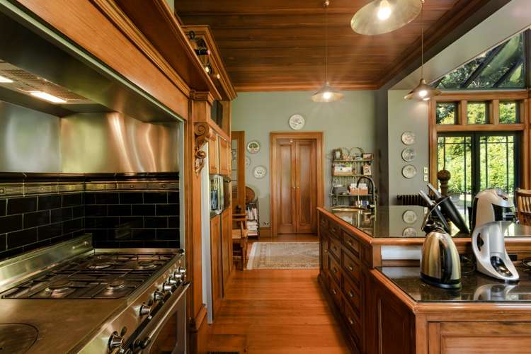 16 Patmos Avenue Woodhaugh_8