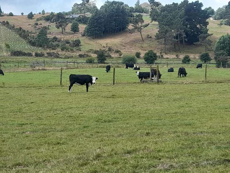 225 George Harvey Road Upper Moutere_17