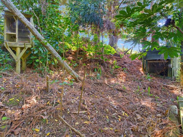 406 Main Road Tairua_31