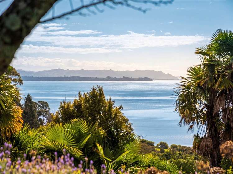 288a Pahoia Road Whakamarama_9