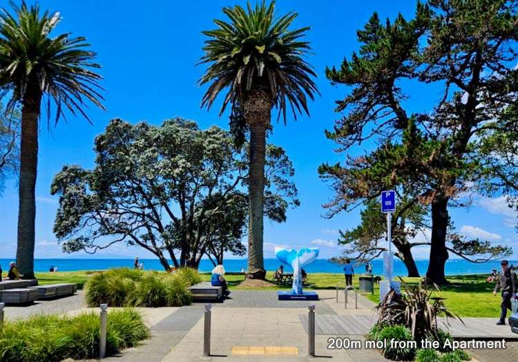 8/41 Anzac Road Browns Bay_15